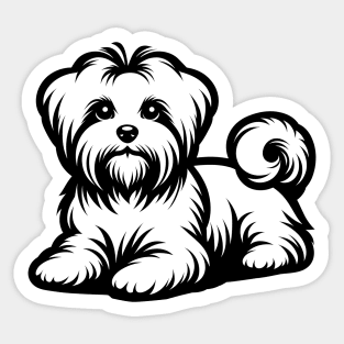 Maltese Dog Sticker